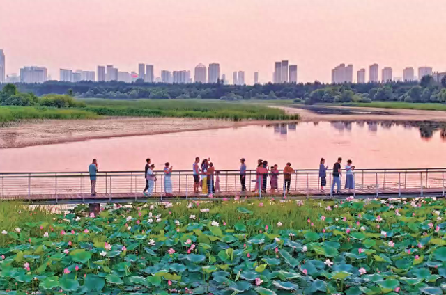 外地游客盛赞哈尔滨夏日“很舒服”
