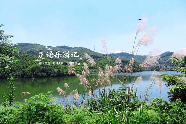 浙江宁波这里藏了一个小阿勒泰？湖光山色相映，柿林红时更美丽