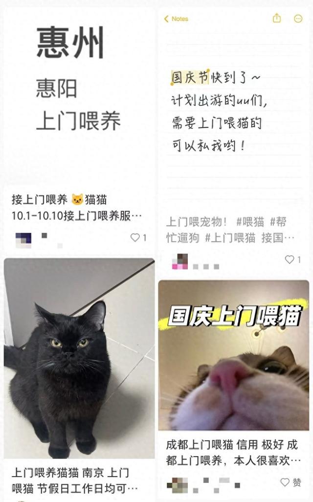 律师小姐破解版金手指（需求激增男子假期连接270单）