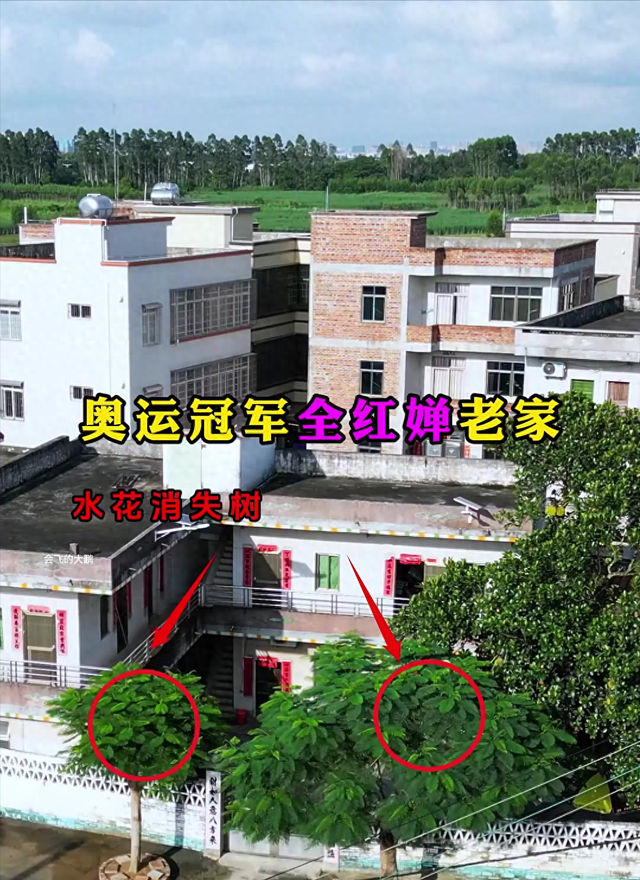 全红婵爸爸真风光，店门口立“冠军广场”标牌，成游客第一打卡区