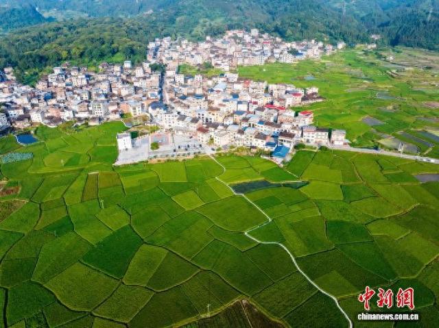 贵州从江：夏日田园景色美
