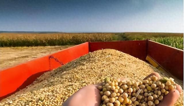 阿根廷“疯子”又赢了，130万吨大豆运往中国，没有一粒是美国的