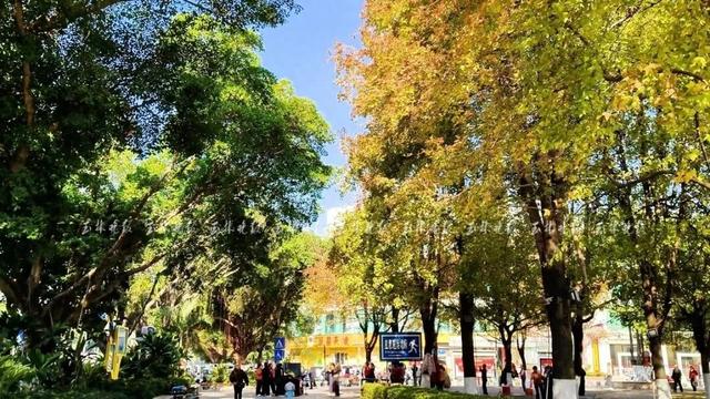 惊艳！玉林冬日的浪漫，藏在这里→