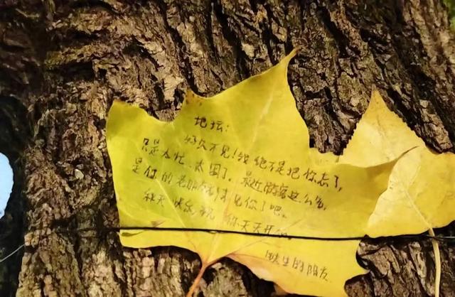 年轻人热衷在北京“访古寻迹”