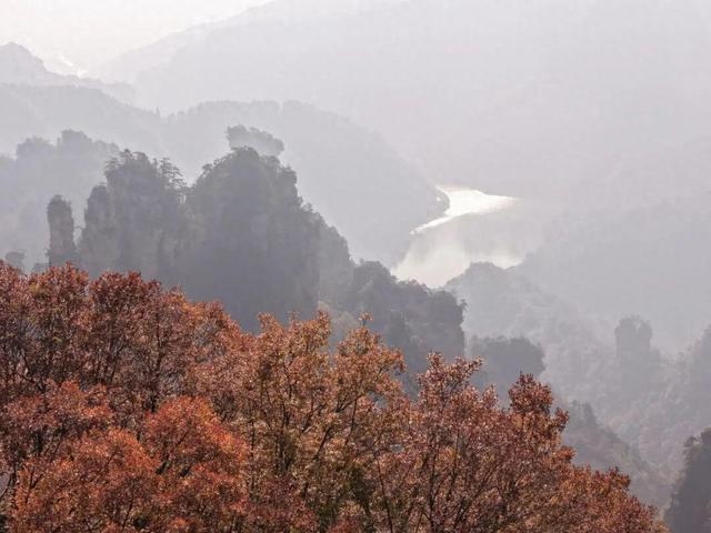 摄影故事 | 霞染秋峰入镜来——世界自然遗产武陵源巡礼手记