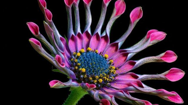 亥猪，人算不如天算，12月22号最大的坎，可能不是事，而是人！