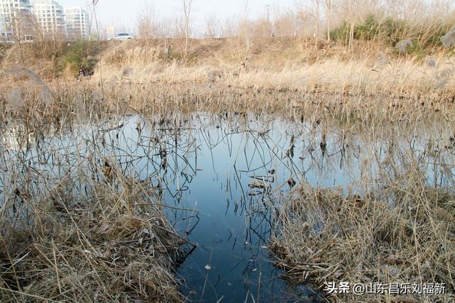 这一次外出闲游感慨颇多