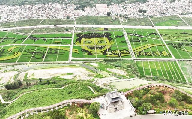 美在邯郸丨哪吒带您游涉县——东山大地景观稻田画迎来最佳观赏期