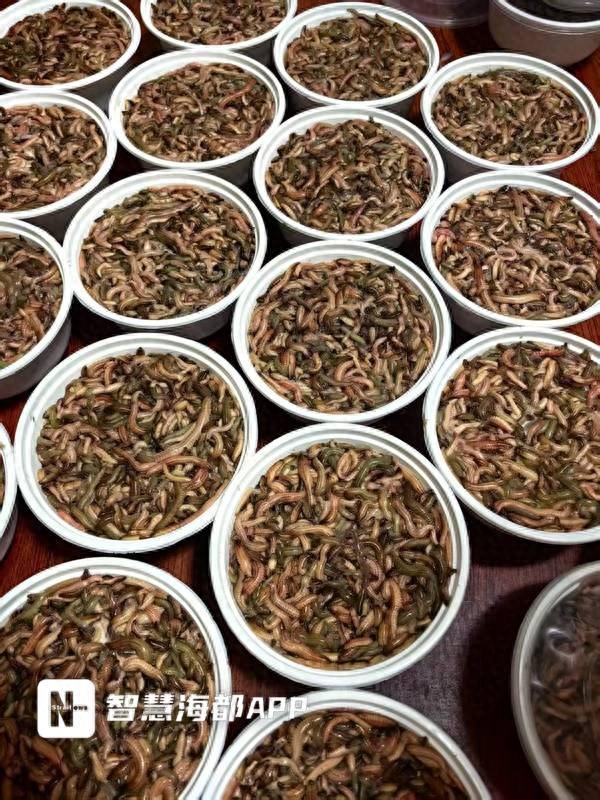 蜈蚣收购价多少（初秋流蜞鲜）