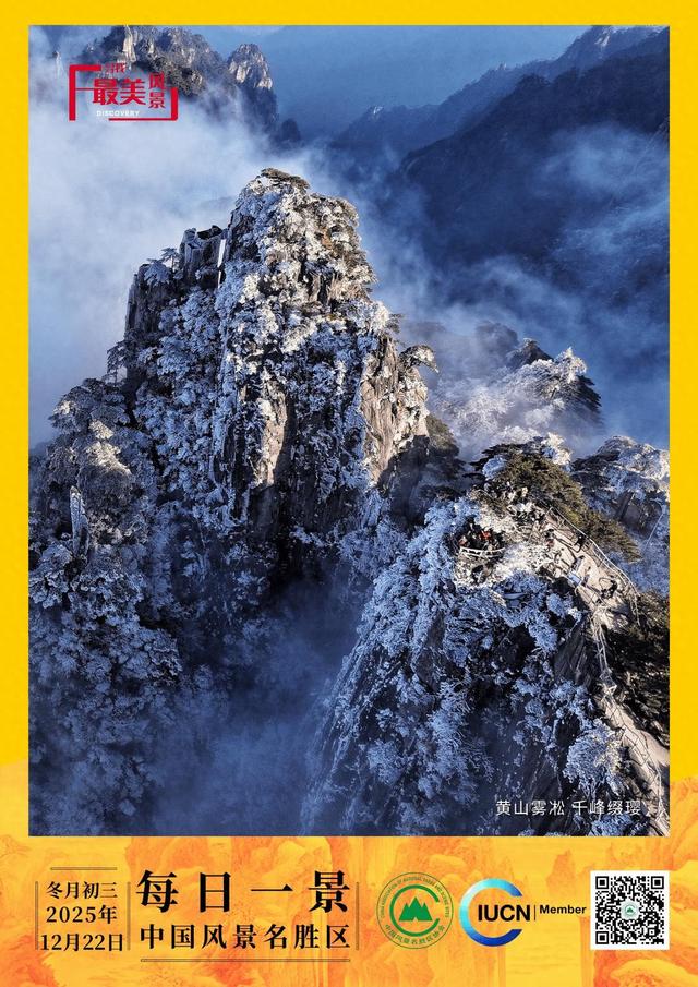 每日一景 | 黄山雾凇 千峰缀璎