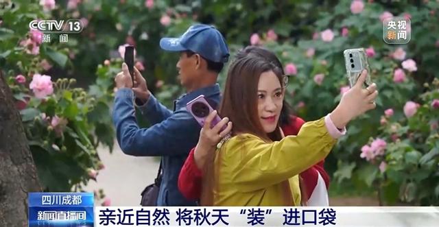 “捡秋”有风险 “尝鲜”需谨慎！牢记这些可避隐患