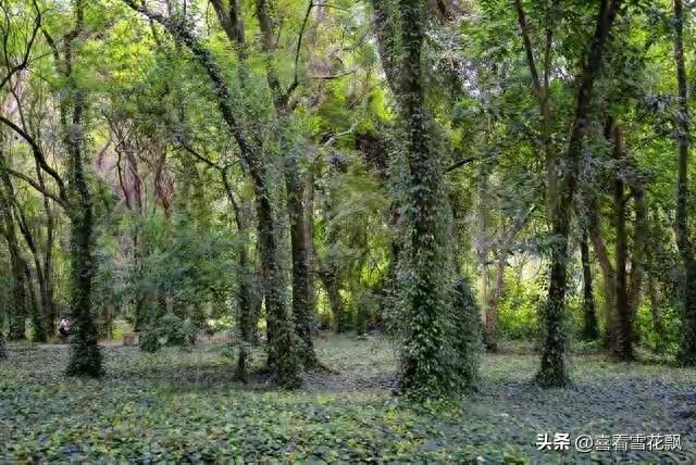 陪我长大陪你变老句子有哪些（养我长大）