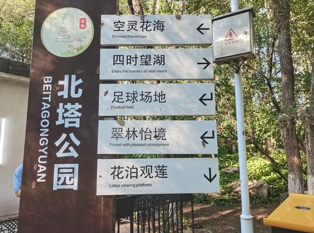 六问沈阳北塔公园空灵花海景点为何无花只有荒草