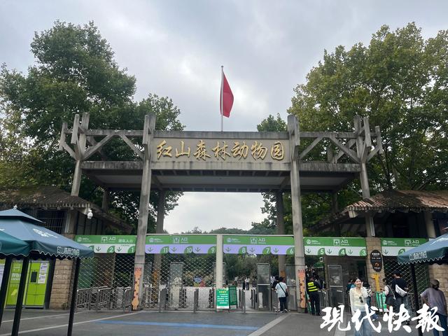 红山动物园调价前迎办卡高峰，市民争赶“80元年卡”末班车