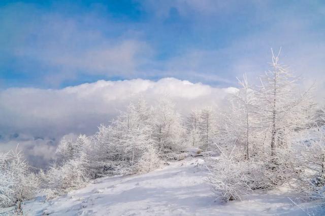【文明旅游】太原市娄烦县：云顶之上，雪落成诗，来娄烦云顶山，遇见冬日童话