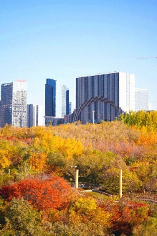 组图丨快来打卡！小绿谷公园这迷人秋景，美极了