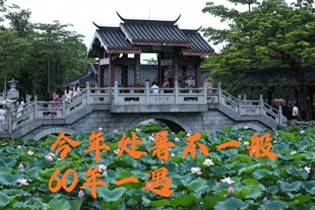 8月23日处暑，今年处暑不一般，60年一遇，有3大特点，早了解！