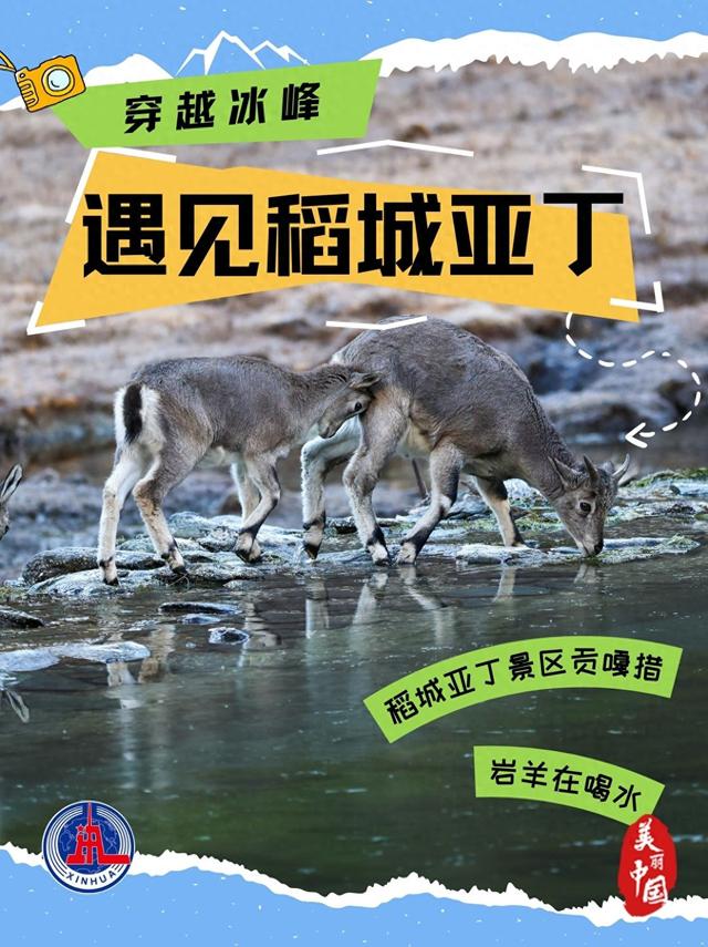 （图表·海报）美丽中国丨穿越冰峰 遇见稻城亚丁（6）