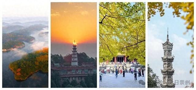 速来→崇州正上演初冬金色浪漫大片！