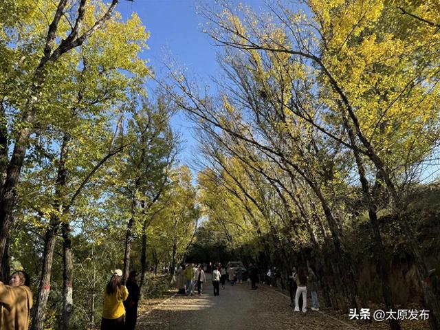 斑斓秋色 美景如画