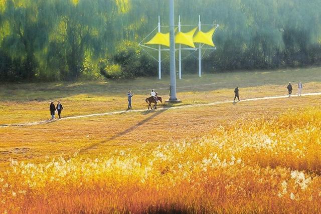 七里河畔风光美