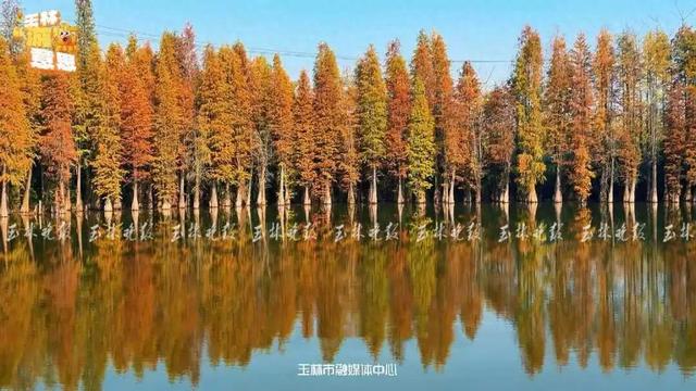 藏不住了！玉林这个地方美如画，超级出片