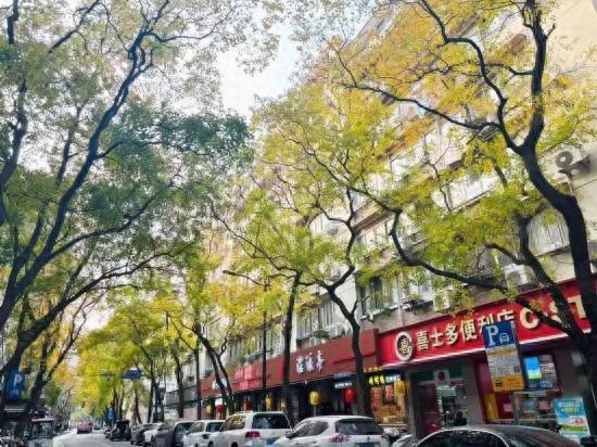 秋色浓度已拉满，申城街头 “赤橙黄绿交响曲”