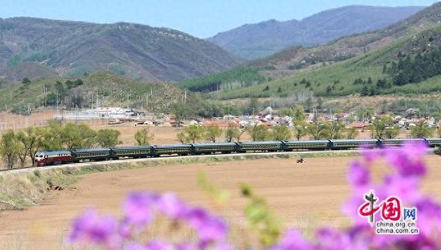 银发旅游专列，绘就“冬南夏北”温暖风景线