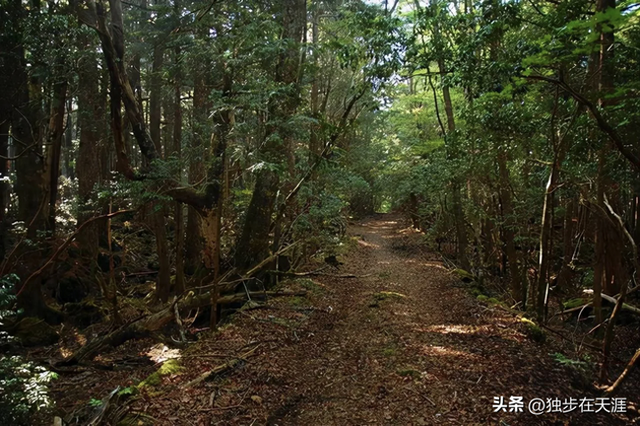 全球十大惊悚地：敢去3个算你狠！最后一个至今无人敢过夜