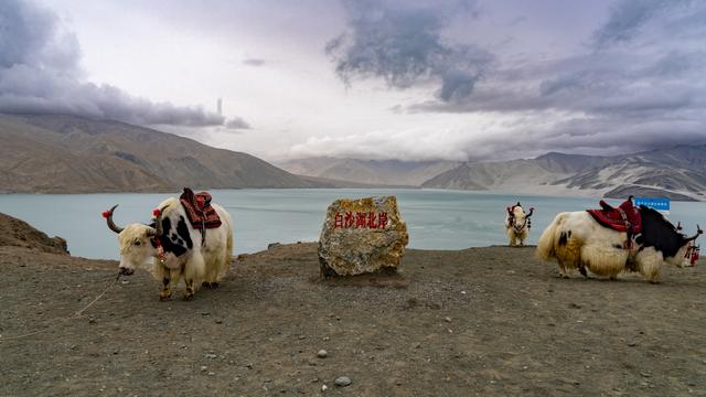 新疆：一半沙漠一半湖水 景色太震撼了
