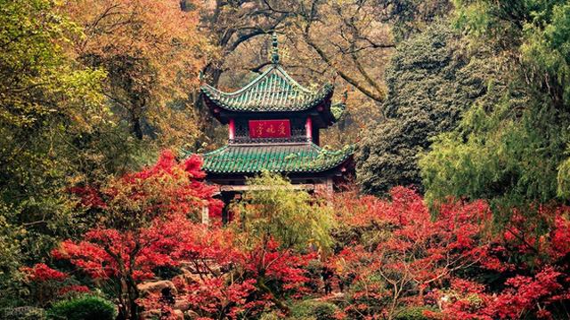 接下来，长沙的天花板级秋景在这里！一年中的颜值巅峰期，美哭！