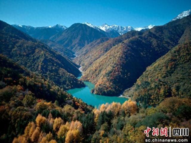 绵阳平武：彩林红叶正当时 白马藏寨迎客来