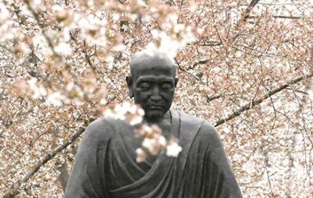 在那樱花盛开的地方