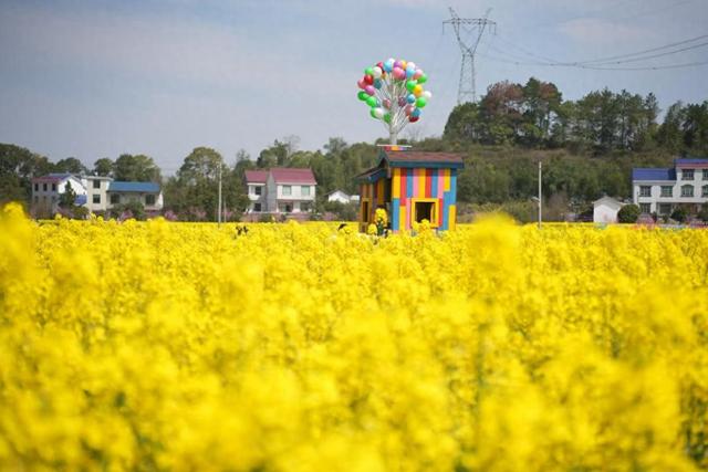 湖南攸县油菜花节点燃“春日经济”