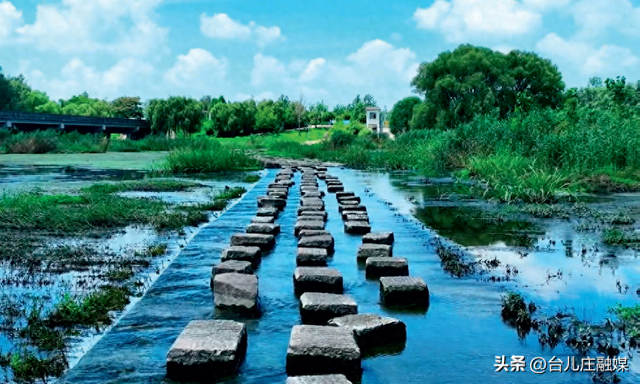 2024年“十大最美农村路”——山东省枣庄市台儿庄区“鲁风运河”古城文化廊道