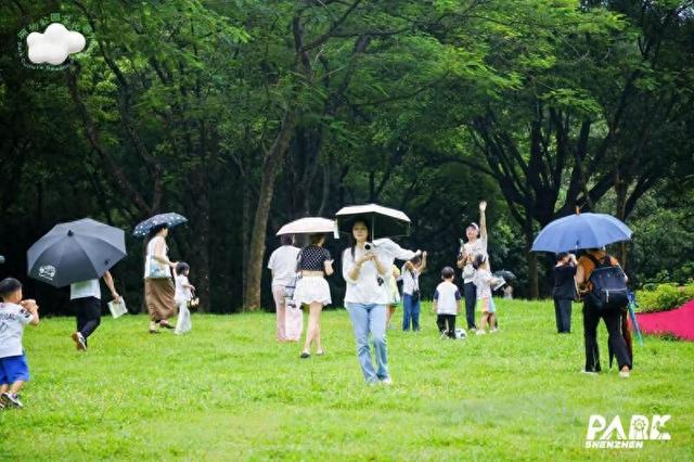 解锁公园的“N种打开方式”，一起来夏令营吧！