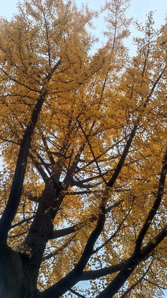 秋雨中的中山公园旧书摊