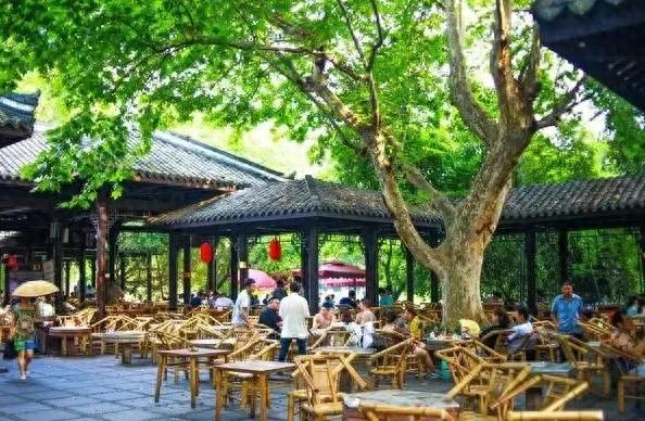 爸妈退休后从北京搬去成都住了三个月了，看他们怎么评价成都的！