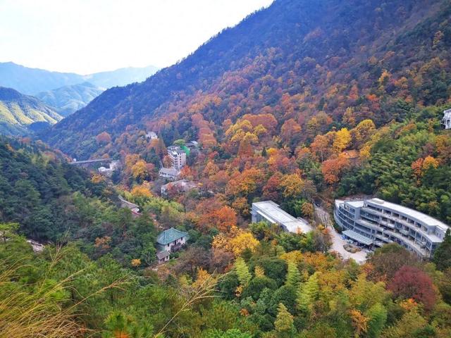 黄山景观故事：外来之客