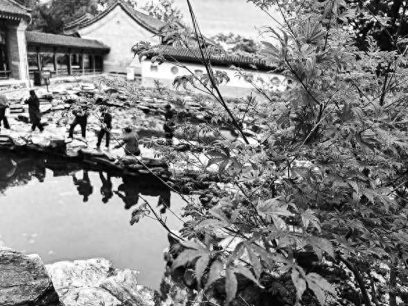 北京香山推出三条主题赏红登山路线