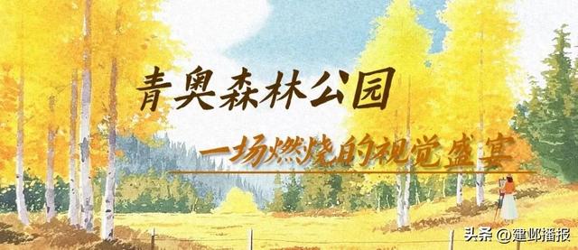 江 心 洲 秋 日 漫 游