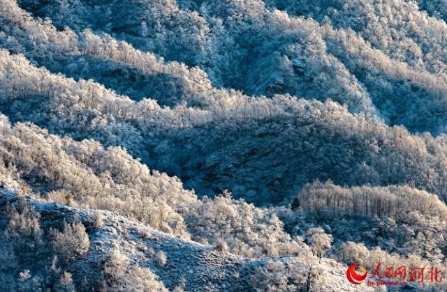 大寒雪霁太行美 百里画廊诗意浓