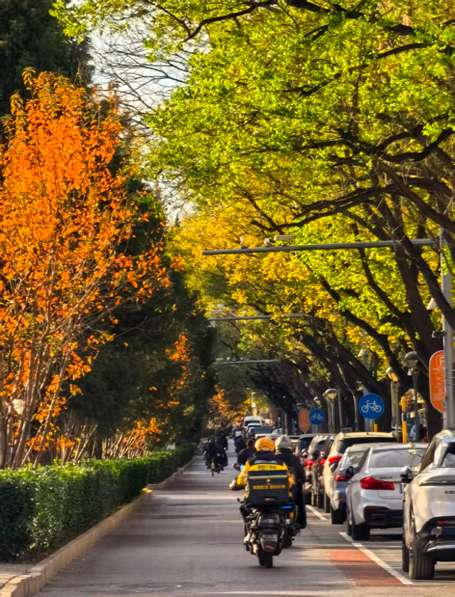 初冬北京，碧水蓝天美景好治愈