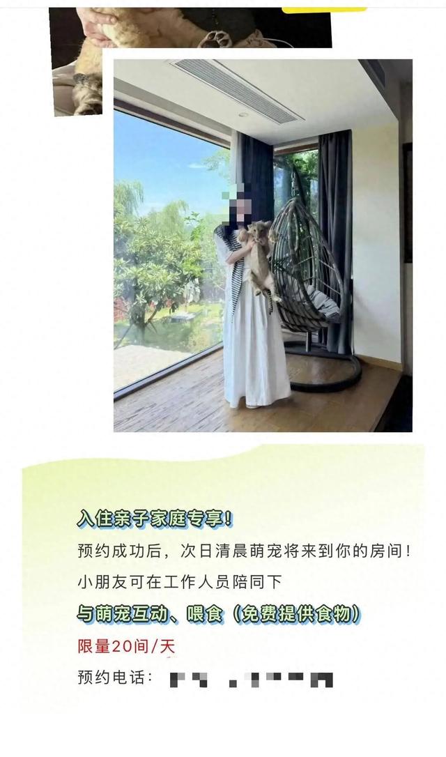 江苏一酒店提供小狮子“零距离”叫醒服务引热议！酒店回应：已暂停该业务