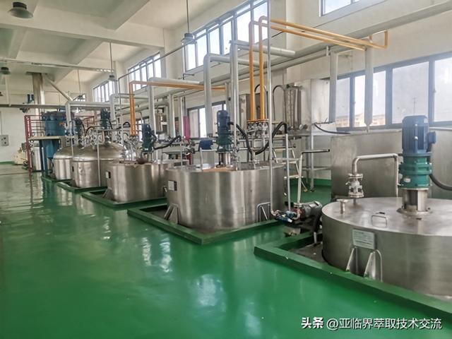 辣木籽油提取及精炼设备
