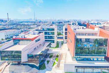 泰达生物技术创新园二期项目建设提速