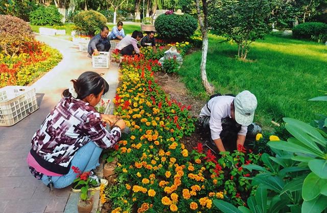 宝鸡炎帝园 扮靓园区迎“双节”