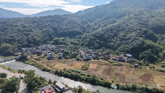 广东河源山环水绕的村庄，整个村子却无一人居住，村民到底去哪了
