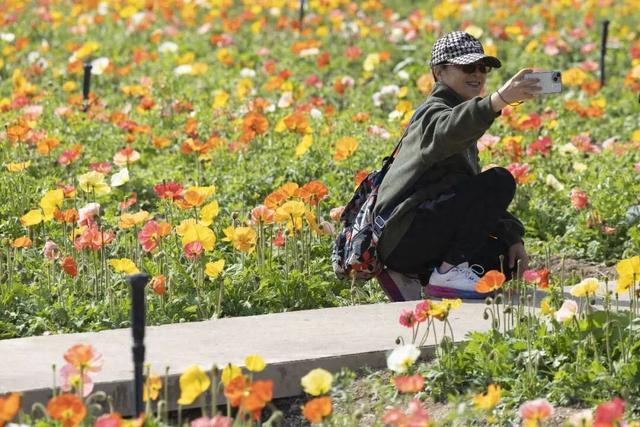 最高25℃！广州，持续升温，最新一周天气预报