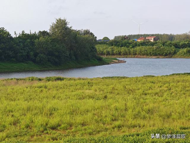 水围孤岛 云梦隔蒲潭镇鞠堤村贺家咀的四季密码
